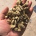 辛夷花,今年新,过筛子过风机。大家可以看一下图片和小视频。。