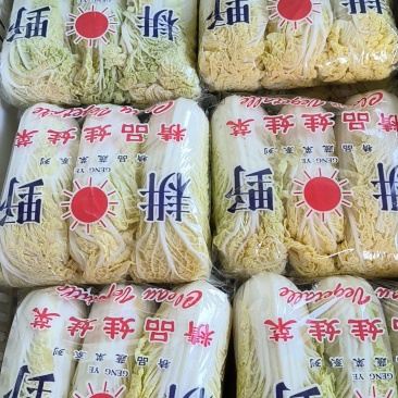 精品娃娃菜/欢迎咨询/可整车供应