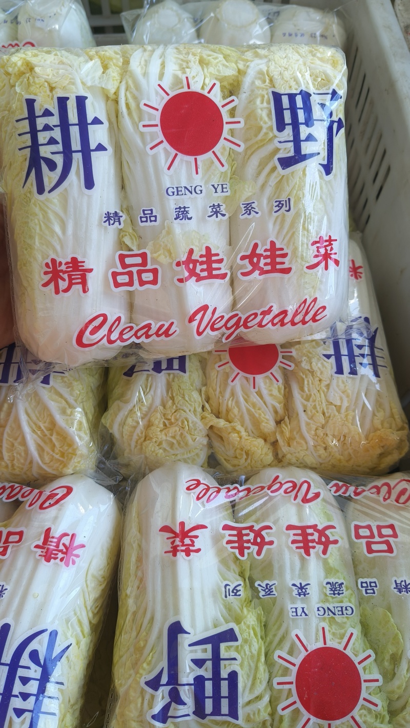 精品娃娃菜/欢迎咨询/可整车供应