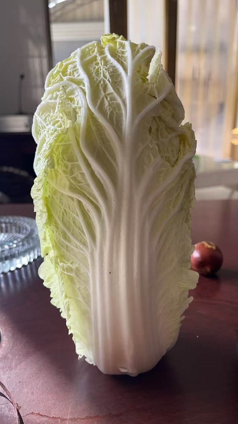 东台精品娃娃菜/整车供应/欢迎咨询下单