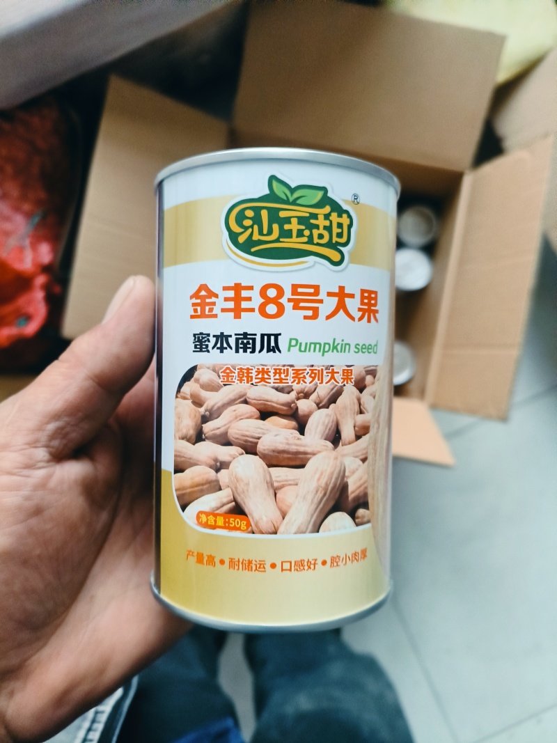 金丰八号，超高产蜜本南瓜种，可回收成品瓜