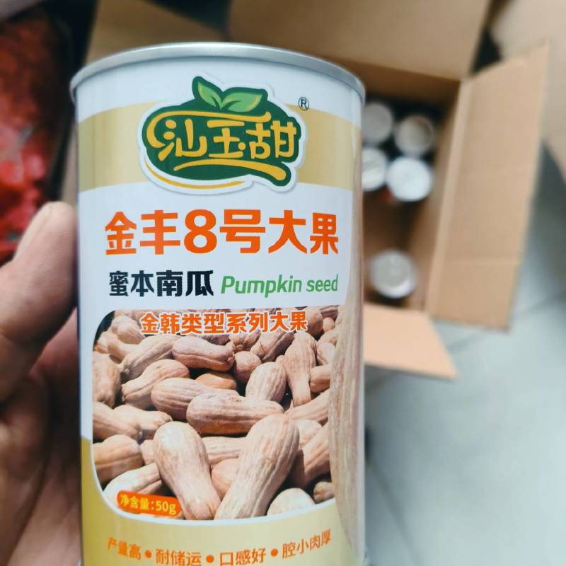 金丰八号，超高产蜜本南瓜种，可回收成品瓜