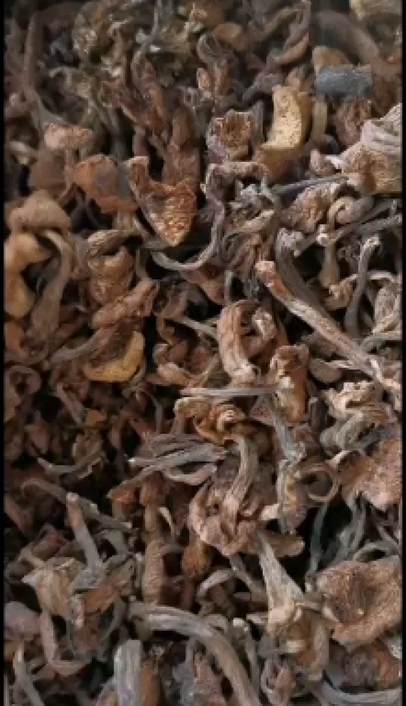 东北榛蘑蘑菇干菌类蘑菇干元蘑干嘎嘎香