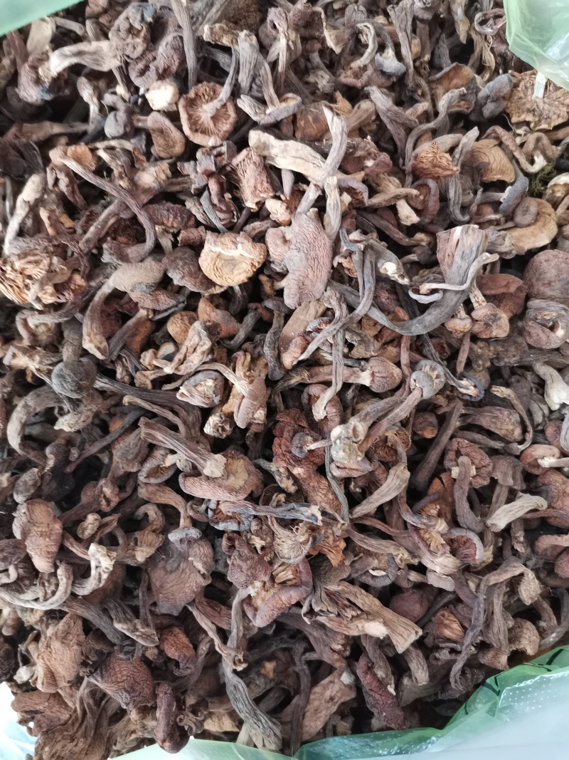 东北榛蘑蘑菇干菌类蘑菇干元蘑干嘎嘎香