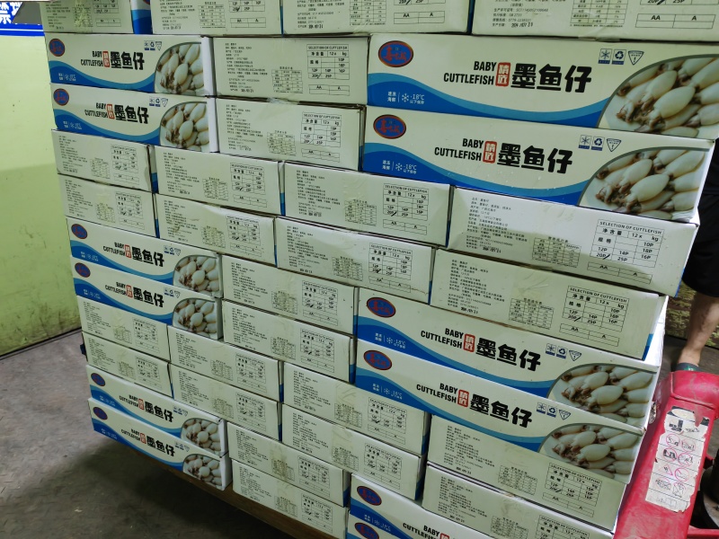 墨鱼仔单冻墨鱼仔大号小号