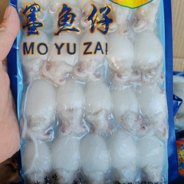 墨鱼仔单冻墨鱼仔大号小号