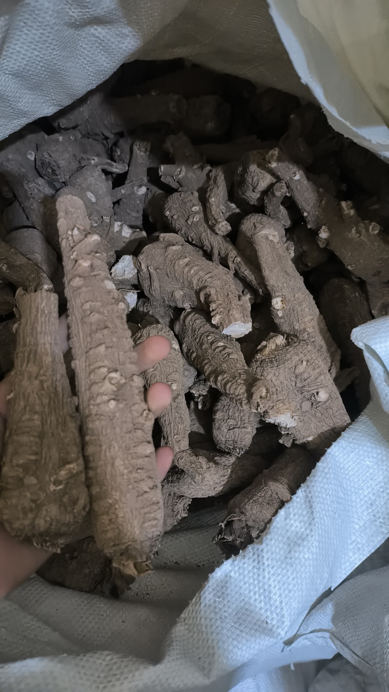 白芷，提香去腥，厨房餐厅必备香料，质量严格把控