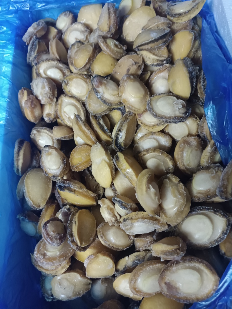 半斤27元鲍鱼肉新鲜活冻纯鲍鱼肉20-40头/斤超低价