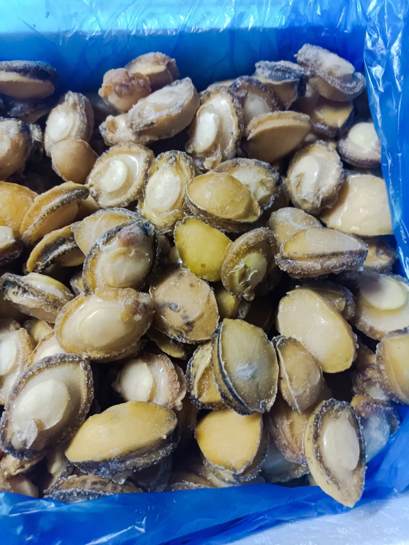 半斤27元鲍鱼肉新鲜活冻纯鲍鱼肉20-40头/斤超低价