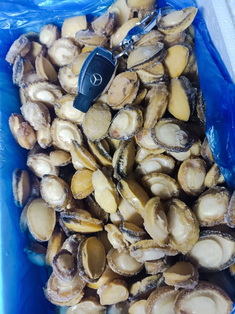 半斤27元鲍鱼肉新鲜活冻纯鲍鱼肉20-40头/斤超低价