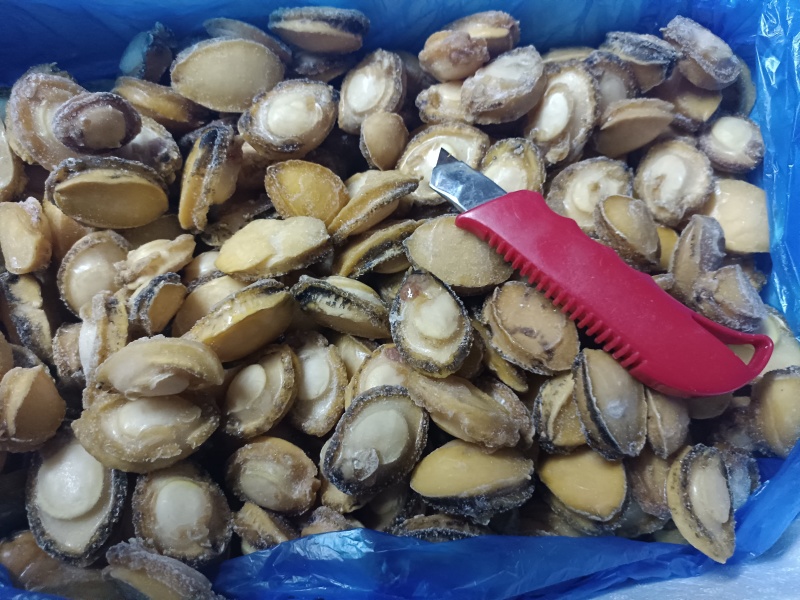 半斤27元鲍鱼肉新鲜活冻纯鲍鱼肉20-40头/斤超低价