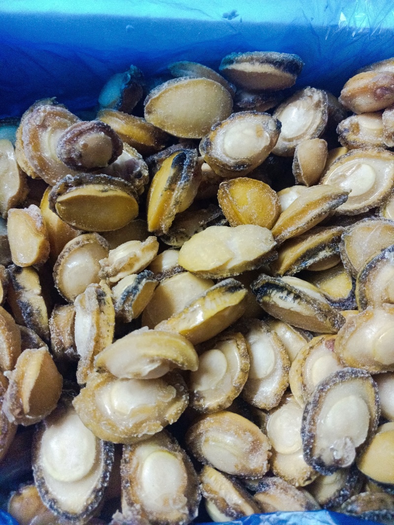 半斤27元鲍鱼肉新鲜活冻纯鲍鱼肉20-40头/斤超低价