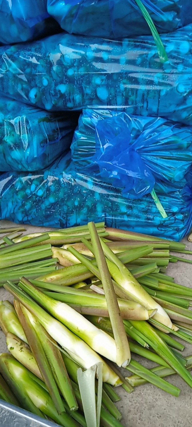 精品电商茭白，可持续供应！长期合作伙伴优先供应