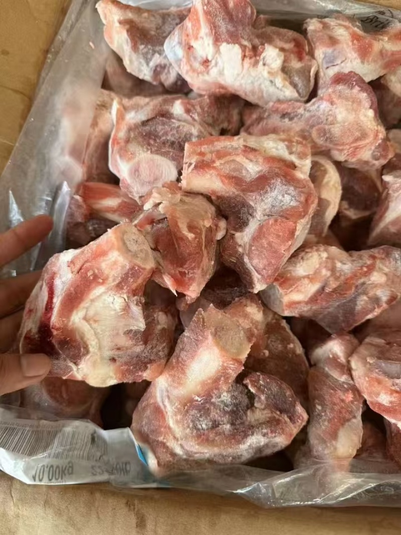 513/394前腿骨