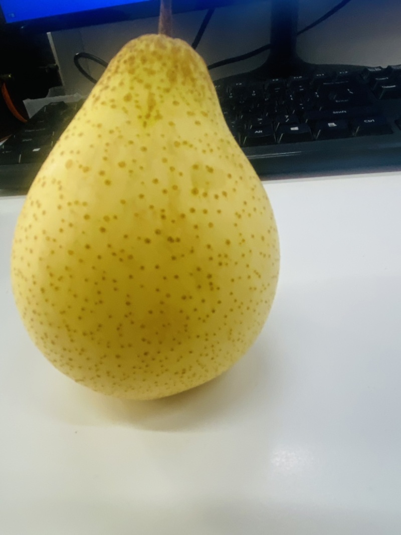 鸭梨