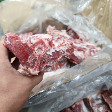 大满肉羊蝎子，带肉高，颜色鲜亮，客户反馈很好，一件也批发