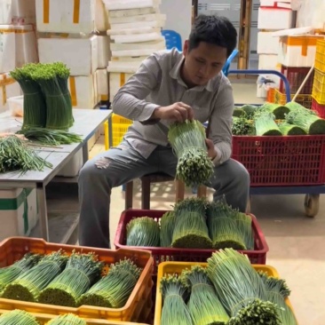 韭菜花真实价格不玩套路