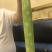 精品无裂缝青皮莴笋