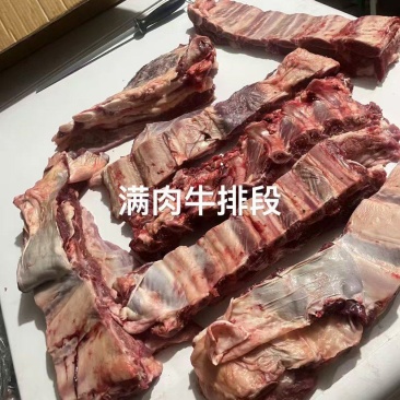 满肉母牛排切条。。。。。。。。。。。。。。。。
