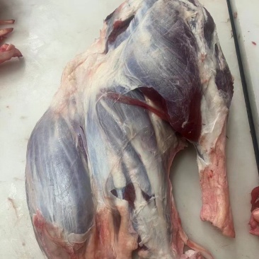 国产精修腱子肉，一手货源，常年有货，质量保证，需要的联系