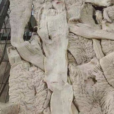 牛大肠半熟，精装修去。油。。。。。。。。。。。。。。。。