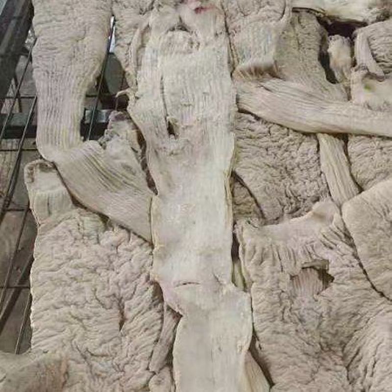 牛大肠半熟，精装修去。油。。。。。。。。。。。。。。。。