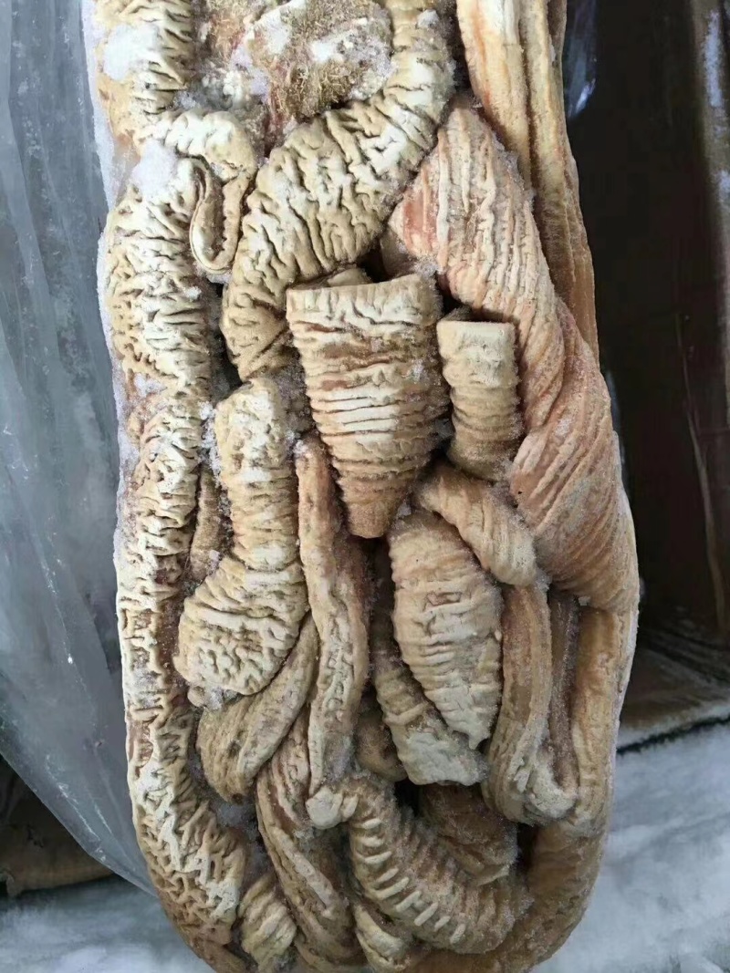 牛大肠半熟，精装修去。油。。。。。。。。。。。。。。。。