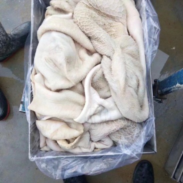 半熟牛肚