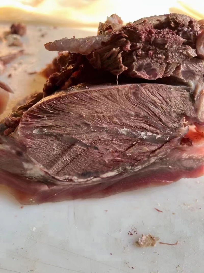 正宗精品牛头肉口感鲜美欢迎联系品尝