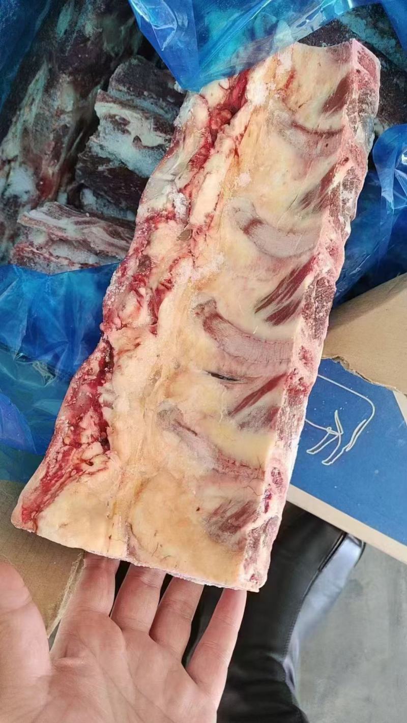 牛脊骨