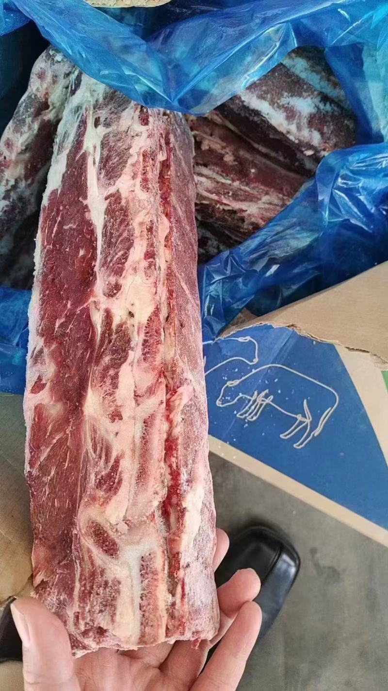 牛脊骨