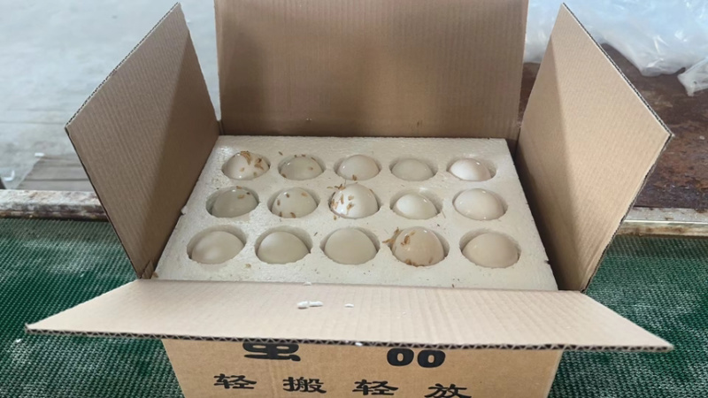 鸭蛋、雁鹅蛋、双黄蛋、旅游、电商、一件代发