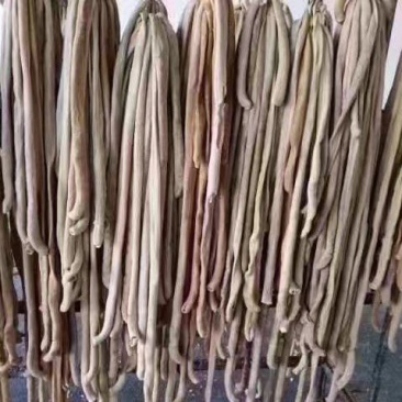 牛园小肠