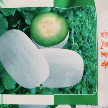 水果小冬瓜种子，出芽率好，可以回收成品冬瓜