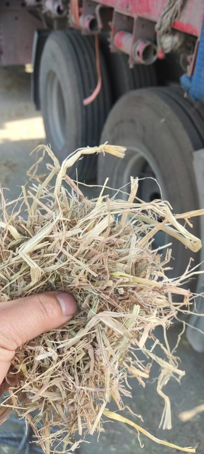【推荐】湖北稻草揉丝干稻草无土无膜无霉变，保质保量供应