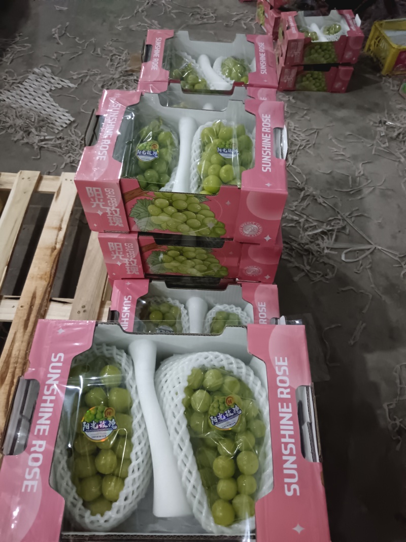 精品阳光玫瑰