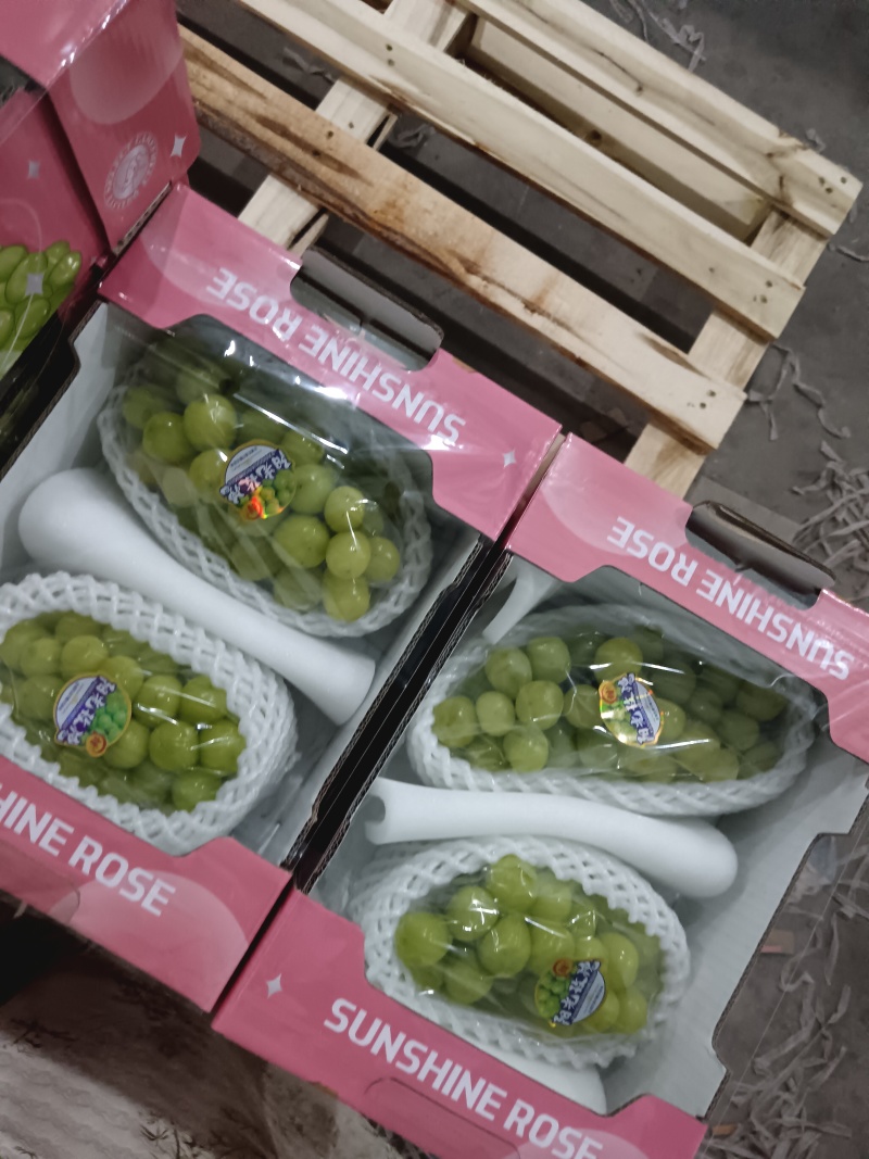 精品阳光玫瑰