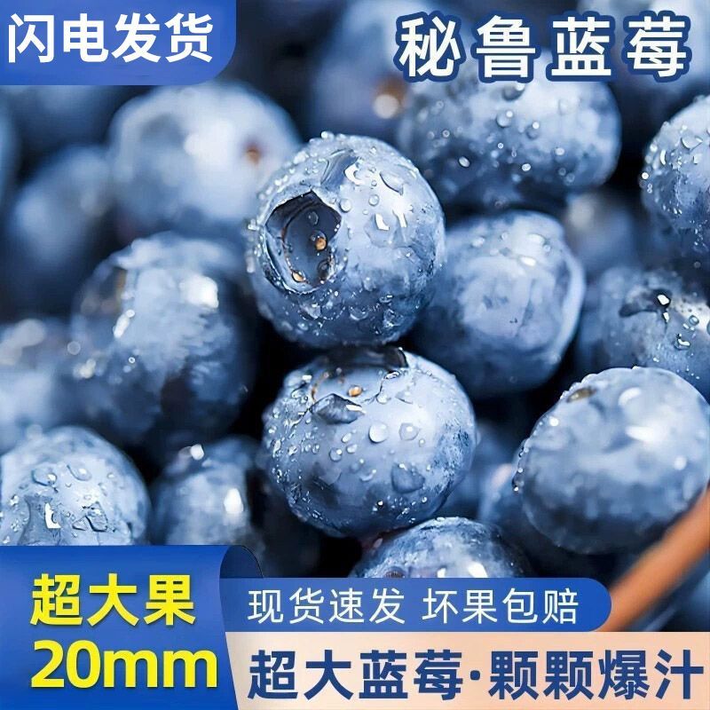 【现货速发】一件代发秘鲁新鲜蓝莓鲜果大果孕妇宝宝辅食护眼