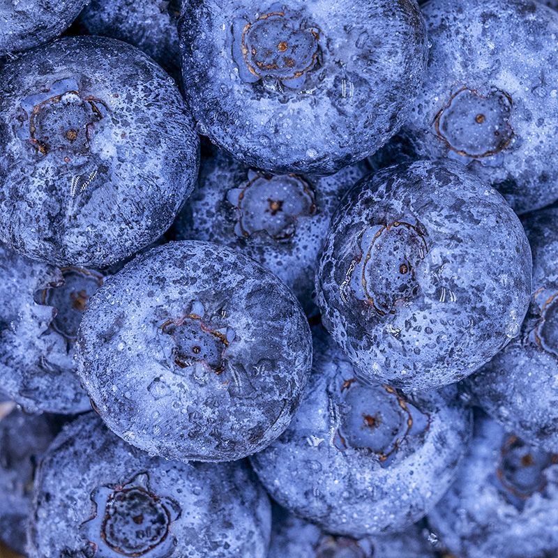 【现货速发】一件代发秘鲁新鲜蓝莓鲜果大果孕妇宝宝辅食护眼