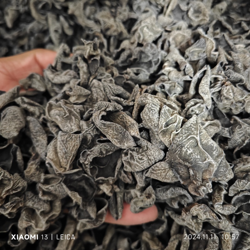 电商赶大集出摊黑木耳干货东北秋耳小朵碗耳肉厚无根