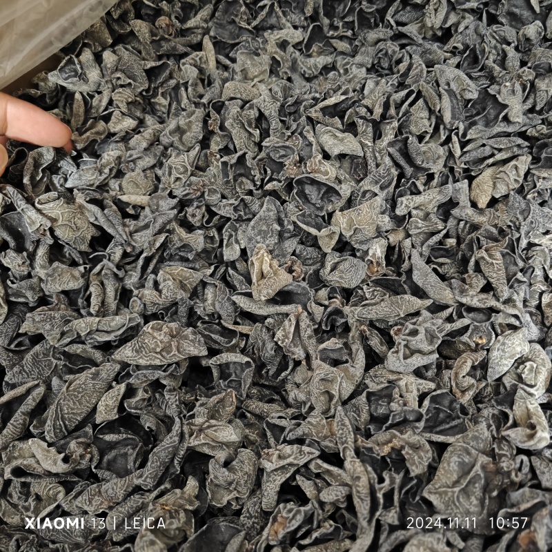 电商赶大集出摊黑木耳干货东北秋耳小朵碗耳肉厚无根