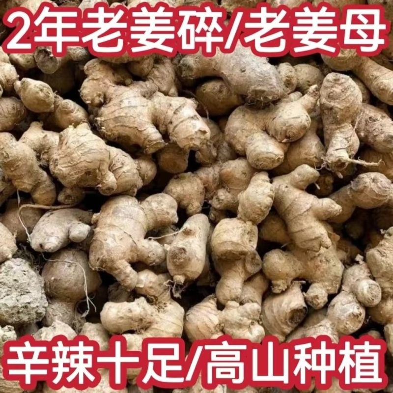 【新鲜现挖】一件代发云南现挖新鲜姜仔黄姜特级生姜热卖抢购