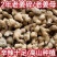 【新鲜现挖】一件代发云南现挖新鲜姜仔黄姜特级生姜热卖抢购