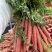 红萝卜🥕