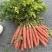 红萝卜🥕