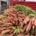 红萝卜🥕