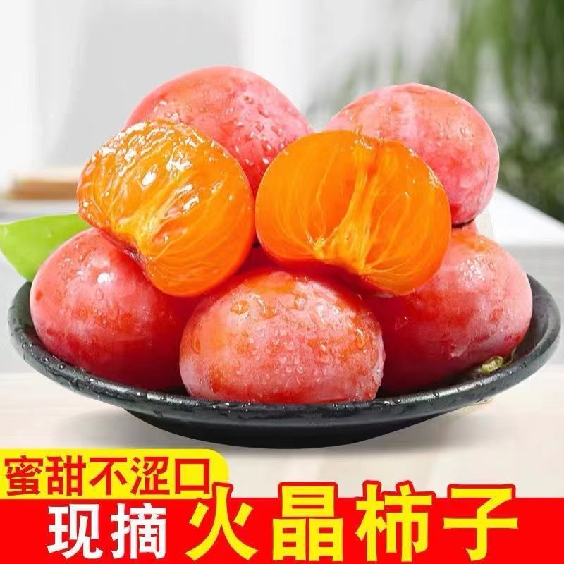 今日特价】一件代发正宗爆甜火晶小柿子现摘现发新鲜水果甜