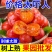 今日特价】一件代发正宗爆甜火晶小柿子现摘现发新鲜水果甜