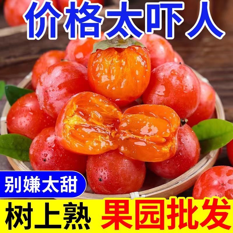 今日特价】一件代发正宗爆甜火晶小柿子现摘现发新鲜水果甜