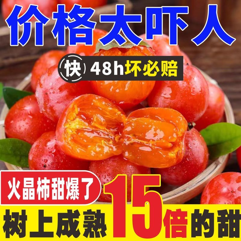 今日特价】一件代发正宗爆甜火晶小柿子现摘现发新鲜水果甜